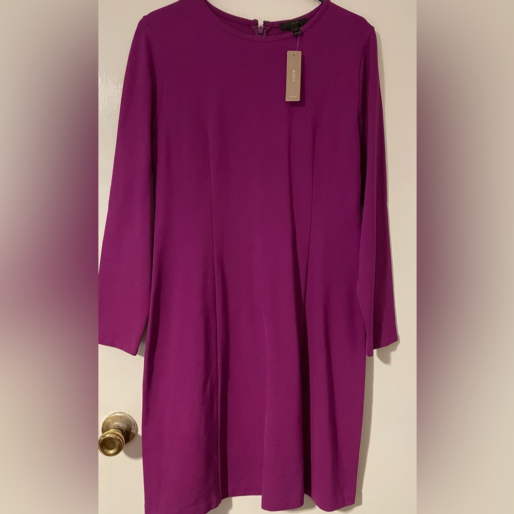 NWT J. Crew Long Sleeve Dress